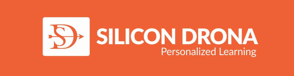 Silicon Drona Logo
